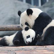 Zoo Atlanta, Marietta