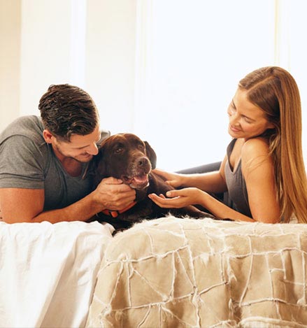 Georgia Pet Friendly Hotel